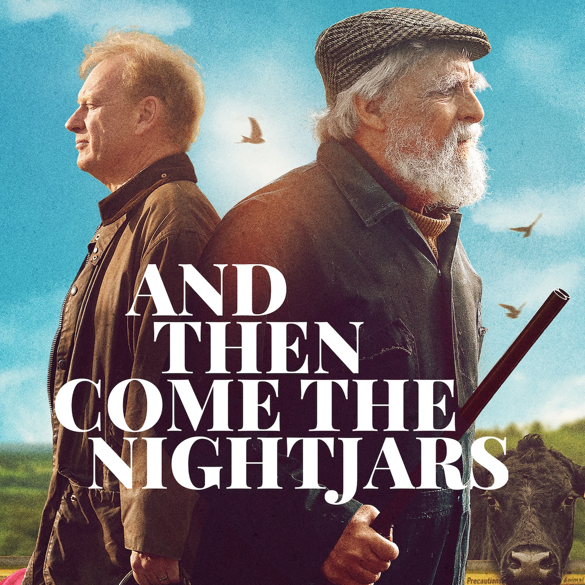 'And Then Come the Nightjars' on Prime Video - Air Edel